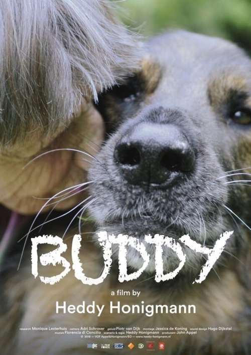 Обложка (Постер) Дружок / Buddy (2018) HDRip