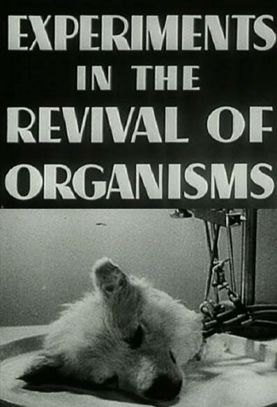 Обложка (Постер) Эксперименты по оживлению организмов / Experiments in the Revival of Organisms (1940) SATRip