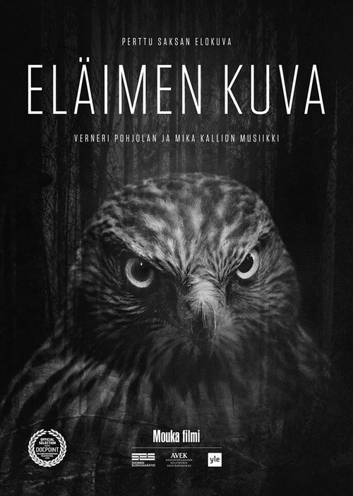 Обложка (Постер) Eläimen kuva (2018) HDRip