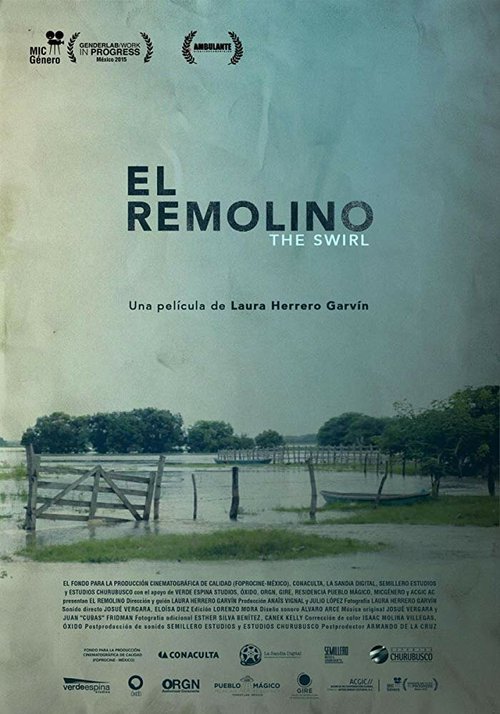 Обложка (Постер) El Remolino (2016) CAMRip