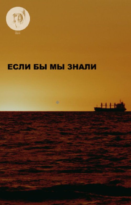 Обложка (Постер) Если бы мы знали (2016) 