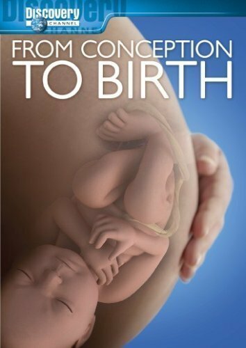 Обложка (Постер) From Conception to Birth (2005) Обложка (Постер) From Conception to Birth (2005)
