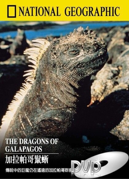 Обложка (Постер) Галапагосские драконы / The Dragons of Galapagos (1998) 