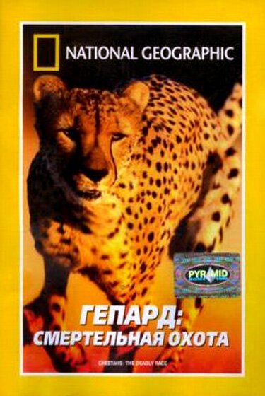 Обложка (Постер) Гепард: Смертельная охота / Cheetahs: The Deadly Race (2002) HDRip Обложка (Постер) Гепард: Смертельная охота / Cheetahs: The Deadly Race (2002) HDRip
