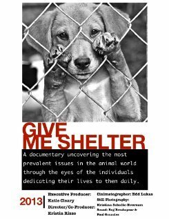 Обложка (Постер) Give Me Shelter (2014) HDRip