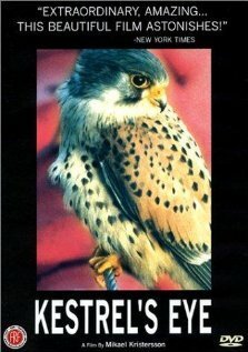 Обложка (Постер) Глаз сокола / Falkens öga (1998) HDRip