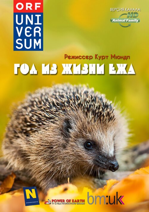 Обложка (Постер) Год из жизни ежа / The Year of the Hedgehog (2009) HDRip Обложка (Постер) Год из жизни ежа / The Year of the Hedgehog (2009) HDRip