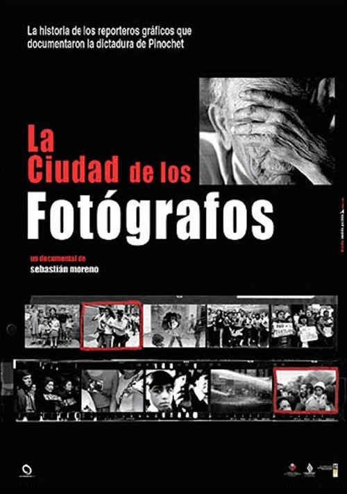 Обложка (Постер) Город фотографов / La ciudad de los fotógrafos (2006) HDRip Обложка (Постер) Город фотографов / La ciudad de los fotógrafos (2006) HDRip