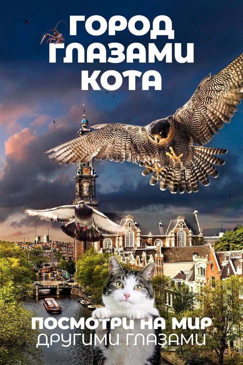 Обложка (Постер) Город глазами кота / De wilde stad (2018) HDRip