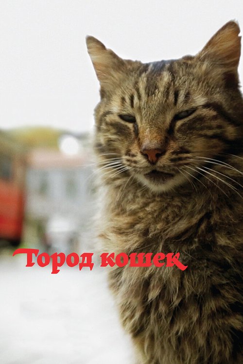 Обложка (Постер) Город кошек / Kedi (2016) CAMRip Обложка (Постер) Город кошек / Kedi (2016) CAMRip