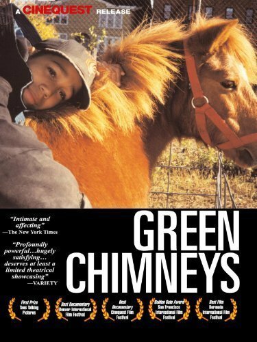 Обложка (Постер) Green Chimneys (1997) HDRip