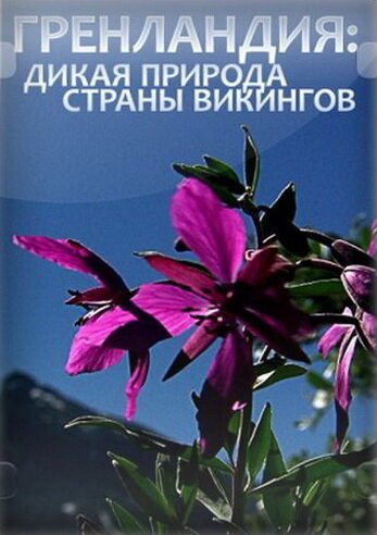 Обложка (Постер) Гренландия: Дикая природа страны викингов / The Green Land: Wildlife in the Land of Vikings (2005) HDRip Обложка (Постер) Гренландия: Дикая природа страны викингов / The Green Land: Wildlife in the Land of Vikings (2005) HDRip