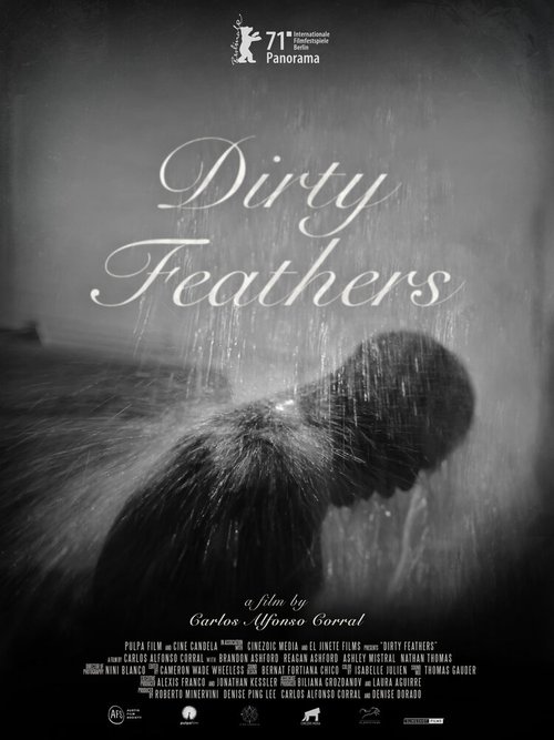 Обложка (Постер) Грязные птахи / Dirty Feathers (2021) HDRip