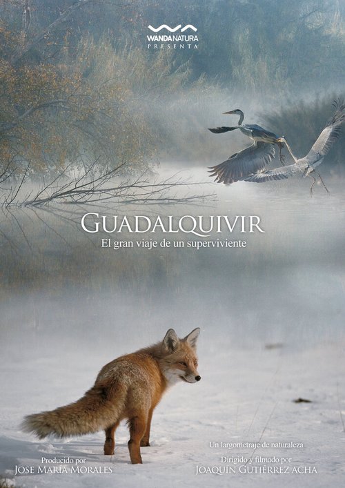 Обложка (Постер) Guadalquivir (2013) Обложка (Постер) Guadalquivir (2013)