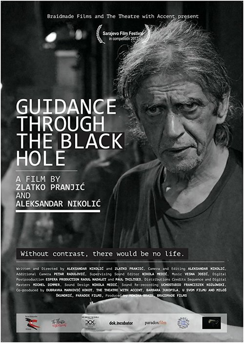 Обложка (Постер) Guidance through the Black Hole (2017) HDRip