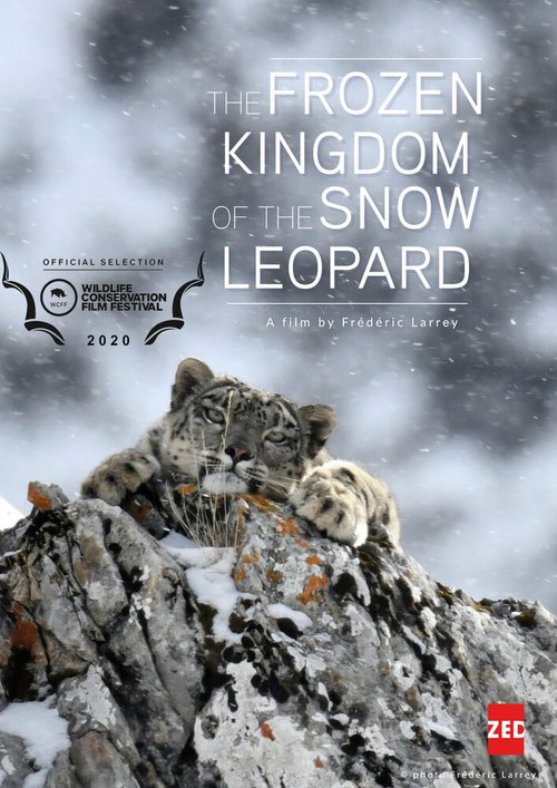 Обложка (Постер) Холодное королевство снежного барса / Le royaume glacé de la panthère des neiges (2020) HDRip