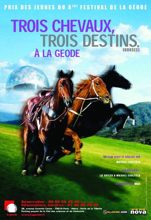 Обложка (Постер) Horses: The Story of Equus (2002) HDRip Обложка (Постер) Horses: The Story of Equus (2002) HDRip