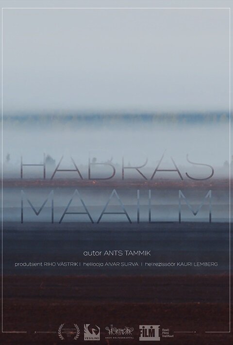 Обложка (Постер) Хрупкий мир / Habras maailm (2017) HDRip