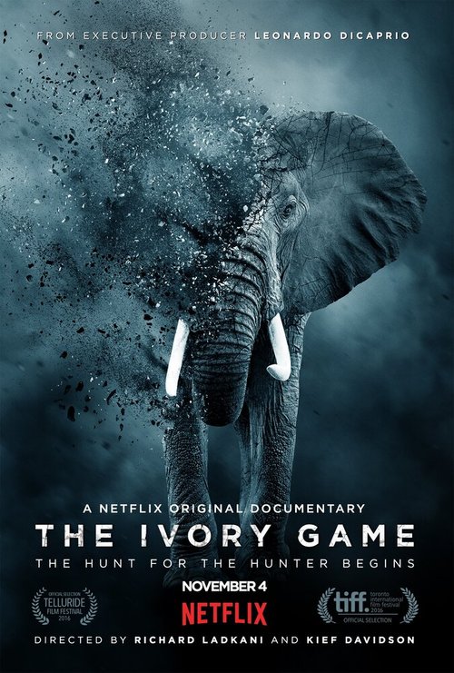Обложка (Постер) Игра цвета слоновой кости / The Ivory Game (2016) CAMRip Обложка (Постер) Игра цвета слоновой кости / The Ivory Game (2016) CAMRip