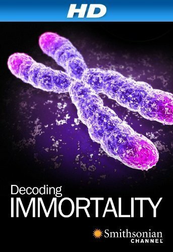 Обложка (Постер) Immortal (2010) HDRip Обложка (Постер) Immortal (2010) HDRip