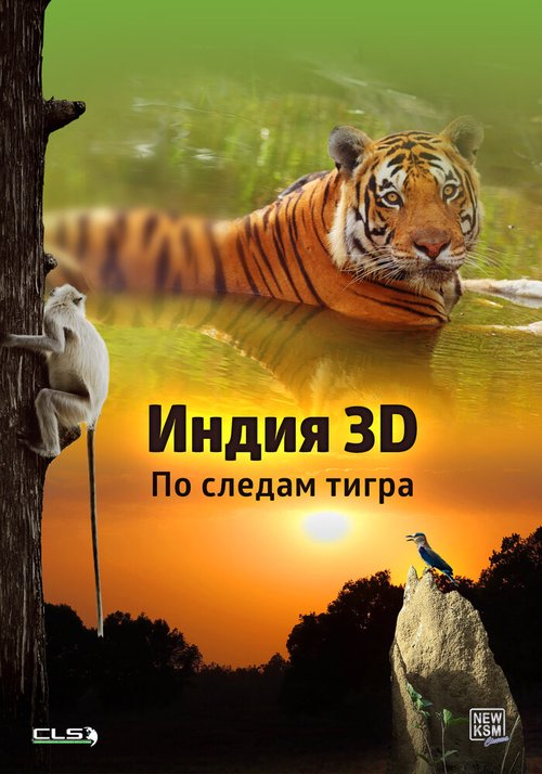 Обложка (Постер) Индия 3D: По следам тигра / India 3D: On The Trail Of The Tiger (2014) HDRip Обложка (Постер) Индия 3D: По следам тигра / India 3D: On The Trail Of The Tiger (2014) HDRip