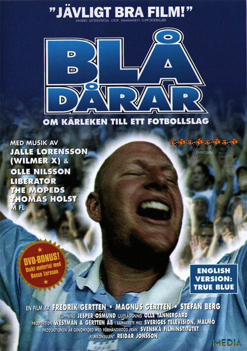 Обложка (Постер) Истинно синий — Любовь к футбольной команде / Blådårar - Om kärleken till ett fotbollslag (1998) HDRip