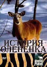 Обложка (Постер) История олененка / The Littlest Reindeer (2003) HDRip Обложка (Постер) История олененка / The Littlest Reindeer (2003) HDRip