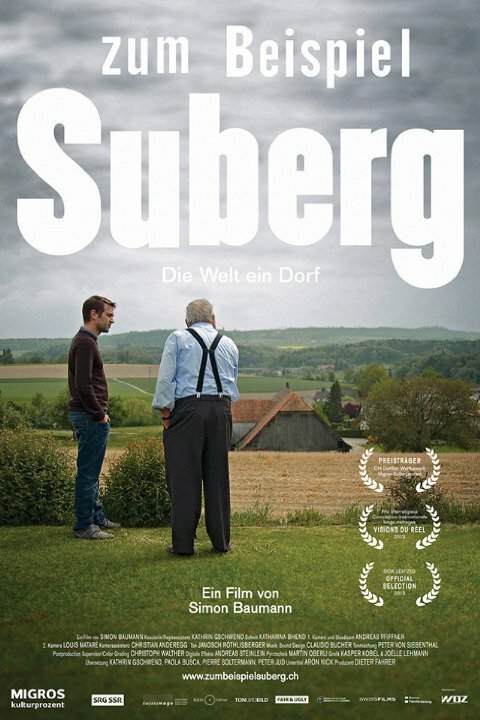 Обложка (Постер) Из жизни деревни Зуберг / Zum Beispiel Suberg (2013) HDRip