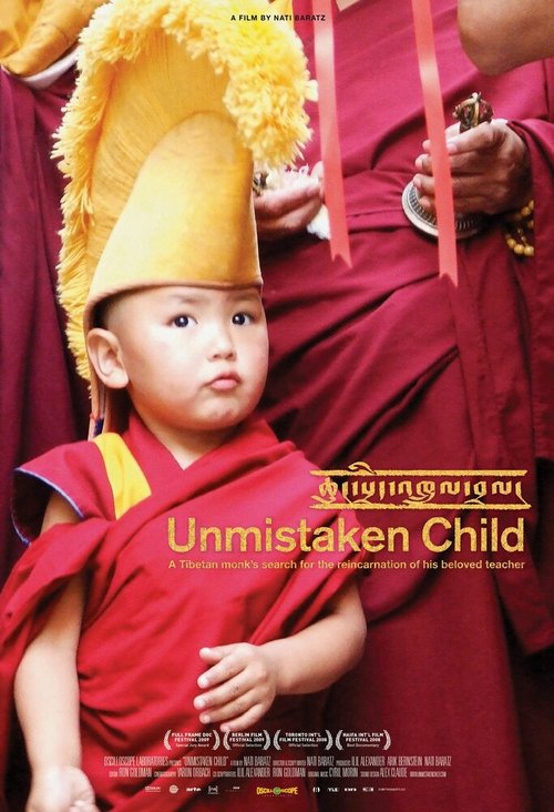 Обложка (Постер) Избранный / Unmistaken Child (2008) HDRip