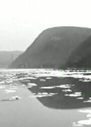 Обложка (Постер) Изучение реки / Study of a River (1997) 