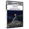 Обложка (Постер) Jane Goodall: Reason for Hope (1999) HDRip
