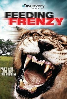 Обложка (Постер) Как прокормить крокодила / Crocodile Feeding Frenzy (2008) Обложка (Постер) Как прокормить крокодила / Crocodile Feeding Frenzy (2008)