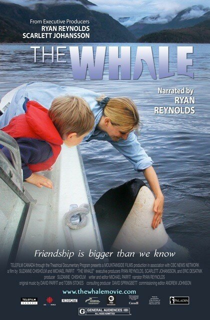 Обложка (Постер) Кит / The Whale (2011) HDRip Обложка (Постер) Кит / The Whale (2011) HDRip