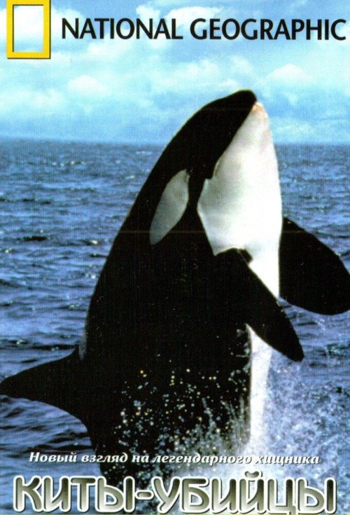 Обложка (Постер) Киты-убийцы / Killer Whales (2008) HDRip Обложка (Постер) Киты-убийцы / Killer Whales (2008) HDRip