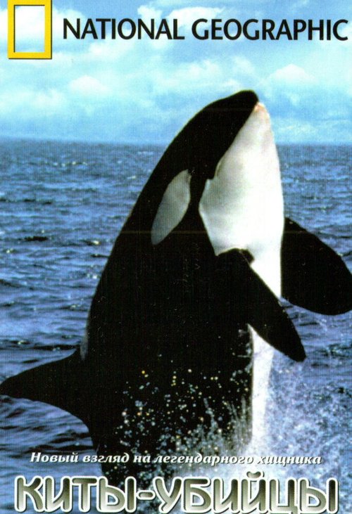 Обложка (Постер) Киты-убийцы / Secret Killers of Monterey Bay (2001) HDRip