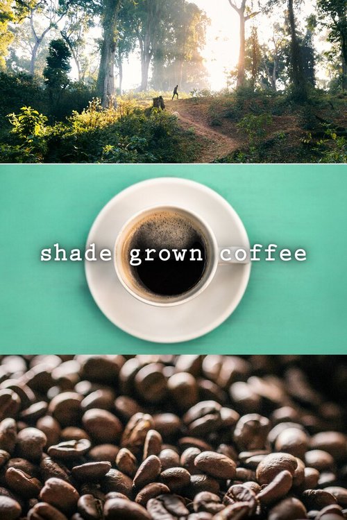 Обложка (Постер) Кофе в тени / Shade Grown Coffee (2020) HDRip