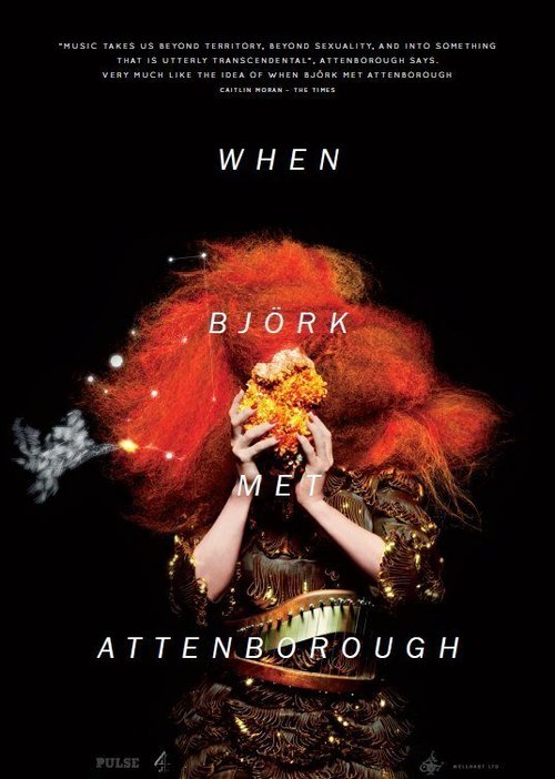 Обложка (Постер) Когда Бьорк встретила Аттенборо / When Björk Met Attenborough (2013) Обложка (Постер) Когда Бьорк встретила Аттенборо / When Björk Met Attenborough (2013)