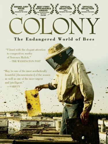 Обложка (Постер) Колония / Colony (2009) HDRip Обложка (Постер) Колония / Colony (2009) HDRip