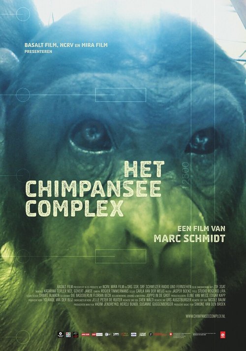 Обложка (Постер) Комплекс шимпанзе / Het Chimpansee Complex (2014) HDRip Обложка (Постер) Комплекс шимпанзе / Het Chimpansee Complex (2014) HDRip