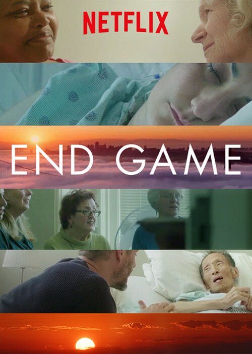 Обложка (Постер) Конец игры / End Game (2018) HDRip