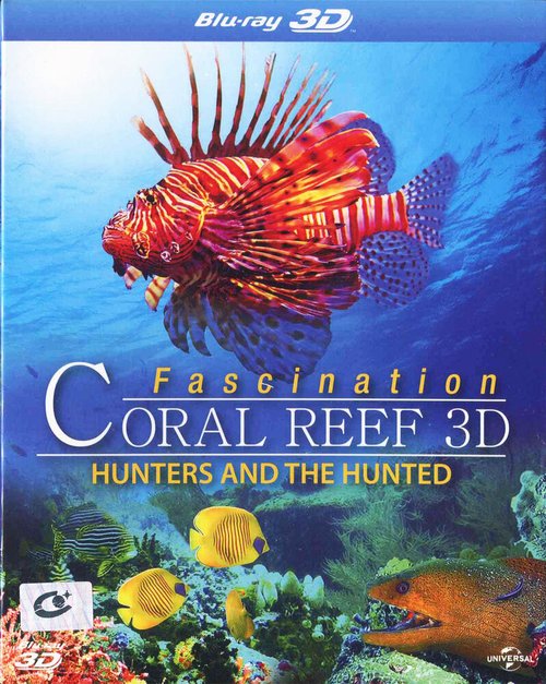 Обложка (Постер) Коралловый риф: Охотники и жертвы / Fascination Coral Reef 3D: Hunters & the Hunted (2012) HDRip Обложка (Постер) Коралловый риф: Охотники и жертвы / Fascination Coral Reef 3D: Hunters & the Hunted (2012) HDRip