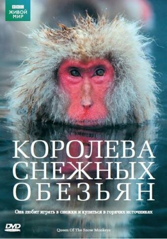 Обложка (Постер) Королева снежных обезьян / Snow Monkeys - Who's Hot and Who's Not (2009) HDRip Обложка (Постер) Королева снежных обезьян / Snow Monkeys - Who's Hot and Who's Not (2009) HDRip