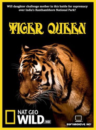 Обложка (Постер) Королева тигров / Tiger Queen (2010) Обложка (Постер) Королева тигров / Tiger Queen (2010)