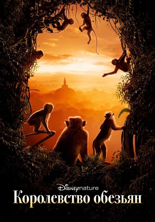 Обложка (Постер) Королевство обезьян / Monkey Kingdom (2015) HDRip Обложка (Постер) Королевство обезьян / Monkey Kingdom (2015) HDRip