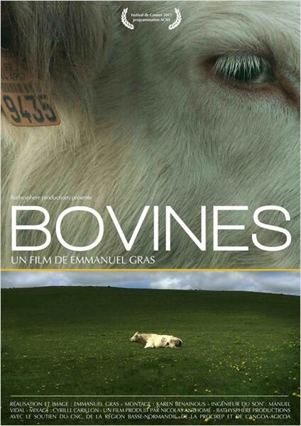 Обложка (Постер) Коровы / Bovines (2011) HDRip Обложка (Постер) Коровы / Bovines (2011) HDRip