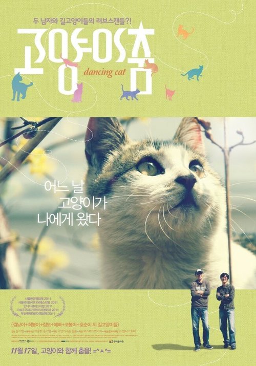 Обложка (Постер) Кошачий вальс / Dancing Cat (2011) HDRip Обложка (Постер) Кошачий вальс / Dancing Cat (2011) HDRip