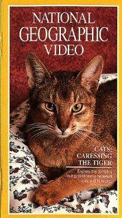 Обложка (Постер) Кошки: Ласковые тигры / Cats: Caressing the Tiger (1991) HDRip