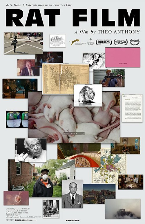 Обложка (Постер) Крысы / Rat Film (2016) CAMRip Обложка (Постер) Крысы / Rat Film (2016) CAMRip