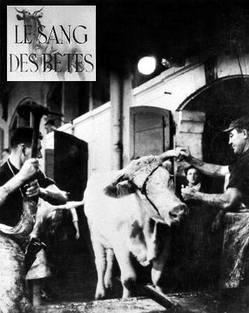 Обложка (Постер) Кровь животных / Le sang des bêtes (1949) SATRip