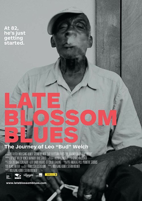 Обложка (Постер) Late Blossom Blues (2017) HDRip Обложка (Постер) Late Blossom Blues (2017) HDRip